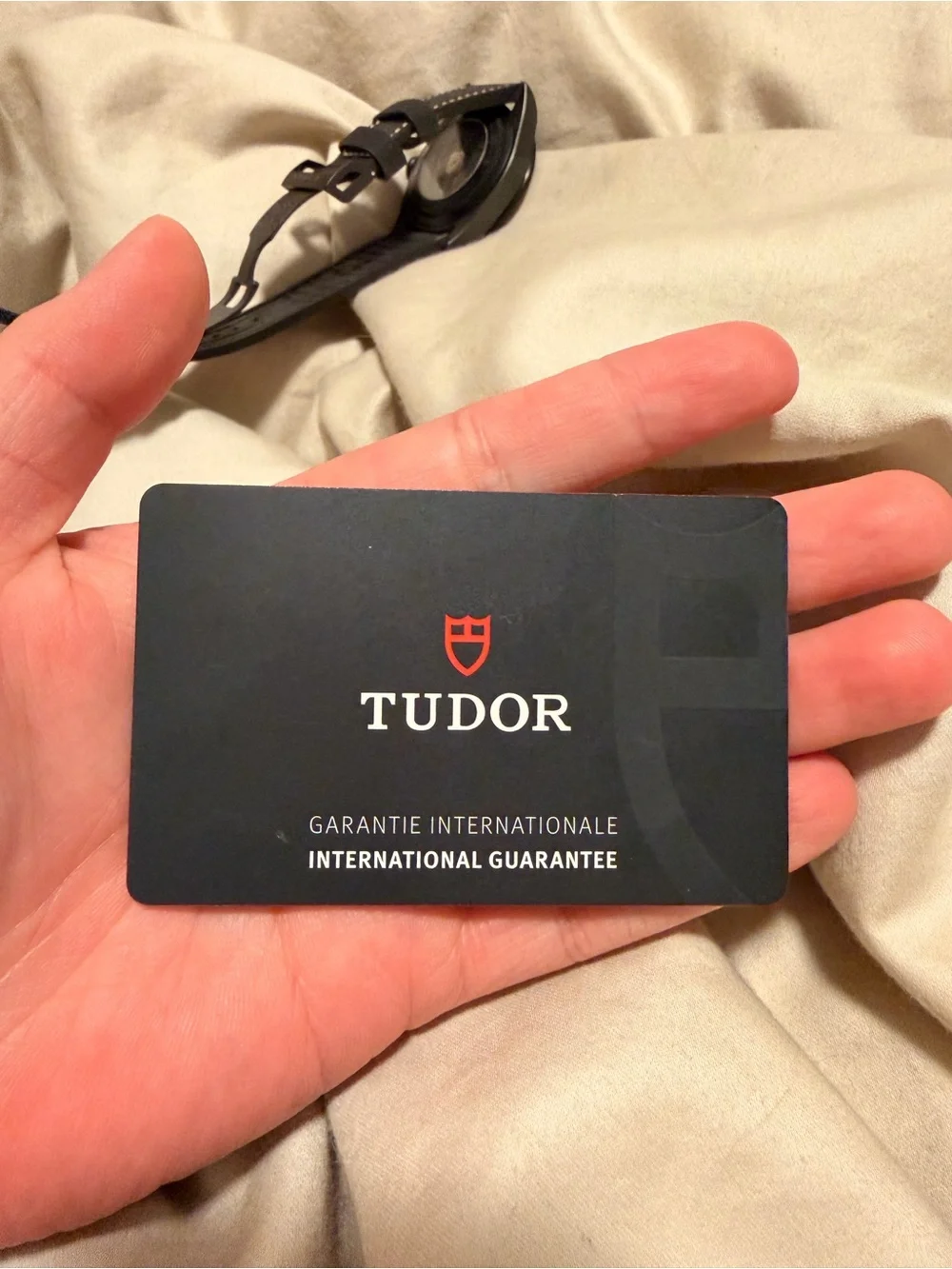 Tudor Black Bay Ceramic